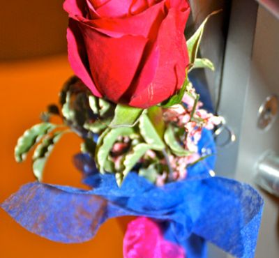 DSC_0402.jpg